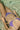 BIKINI ARENA VIOLETA