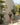 Hotel Galopina Silvestre